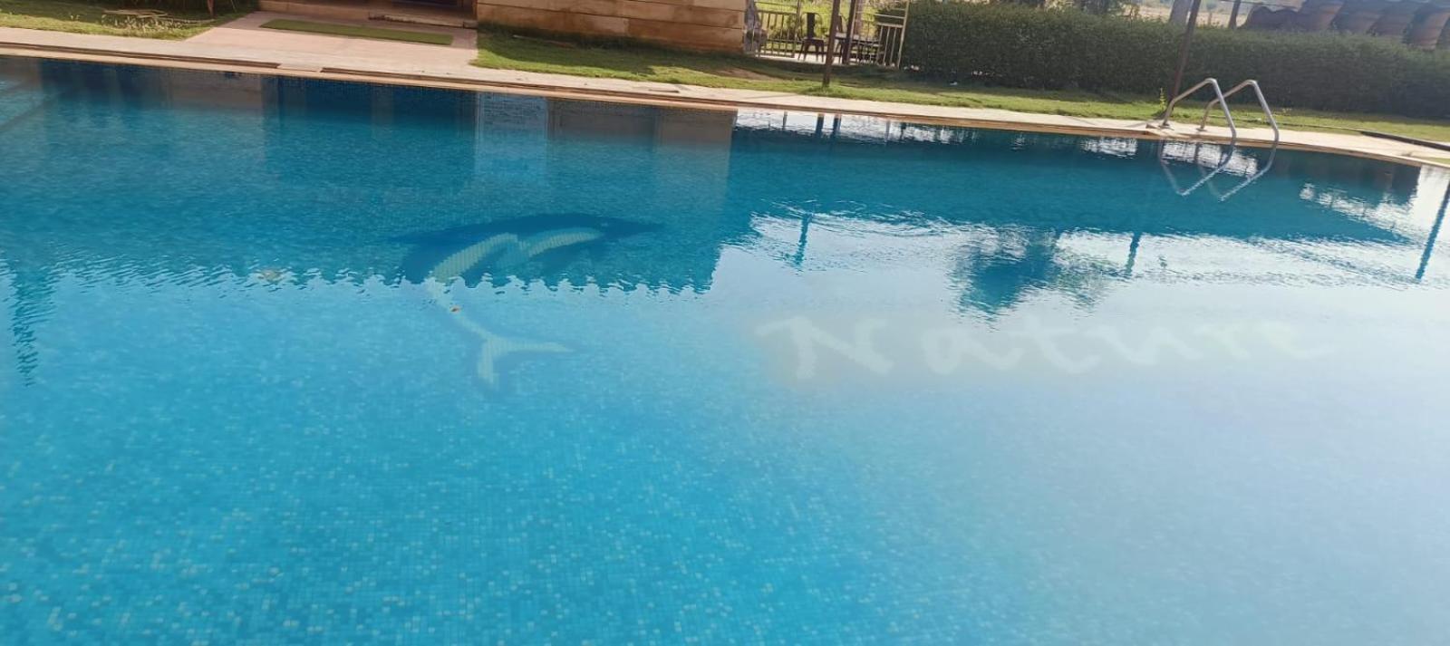 Moonlight Nature Resort & Swimming Pool Jaisalmer Eksteriør bilde